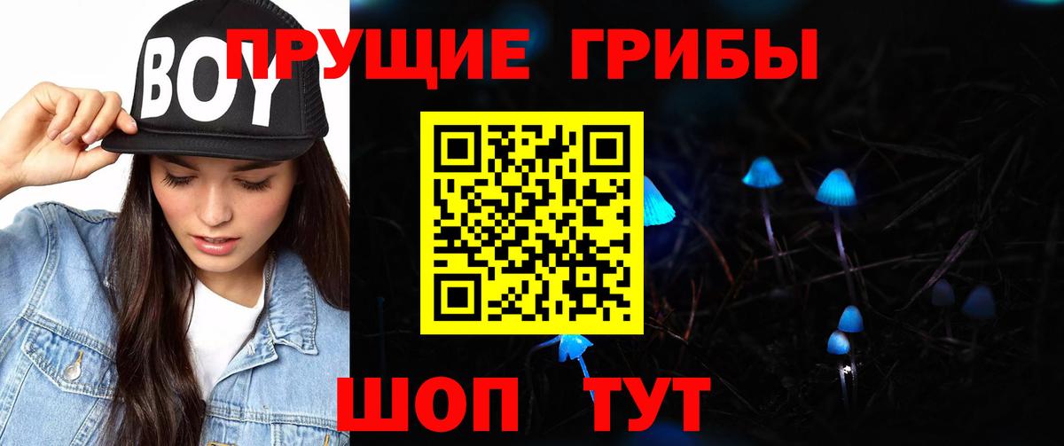 Псилоцибиновые грибы мицелий  Псилоцибиновые грибы Psilocybe  Вход с VPN  Североуральск 
